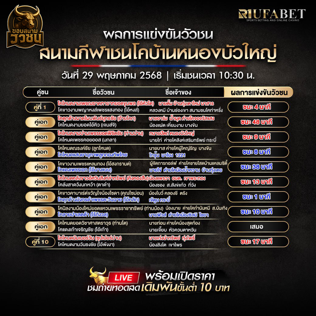 ผลวัวชน สนามกีฬาชนโคบ้านหนองบัวใหญ่