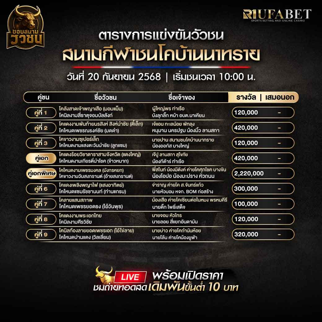 ตารางแข่งขันวัวชน-วันที่-20-09-2568-โปรแกรม-สนามชนโคบ้านนาทราย