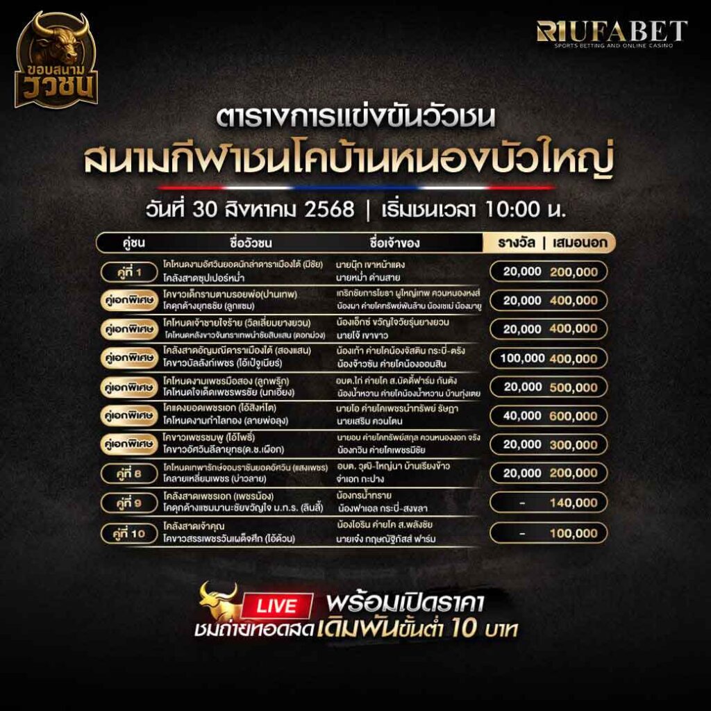ตารางแข่งขันวัวชน-วันที่-30-08-2568-โปรแกรม-สนามชนโคบ้านหนองบัวใหญ่