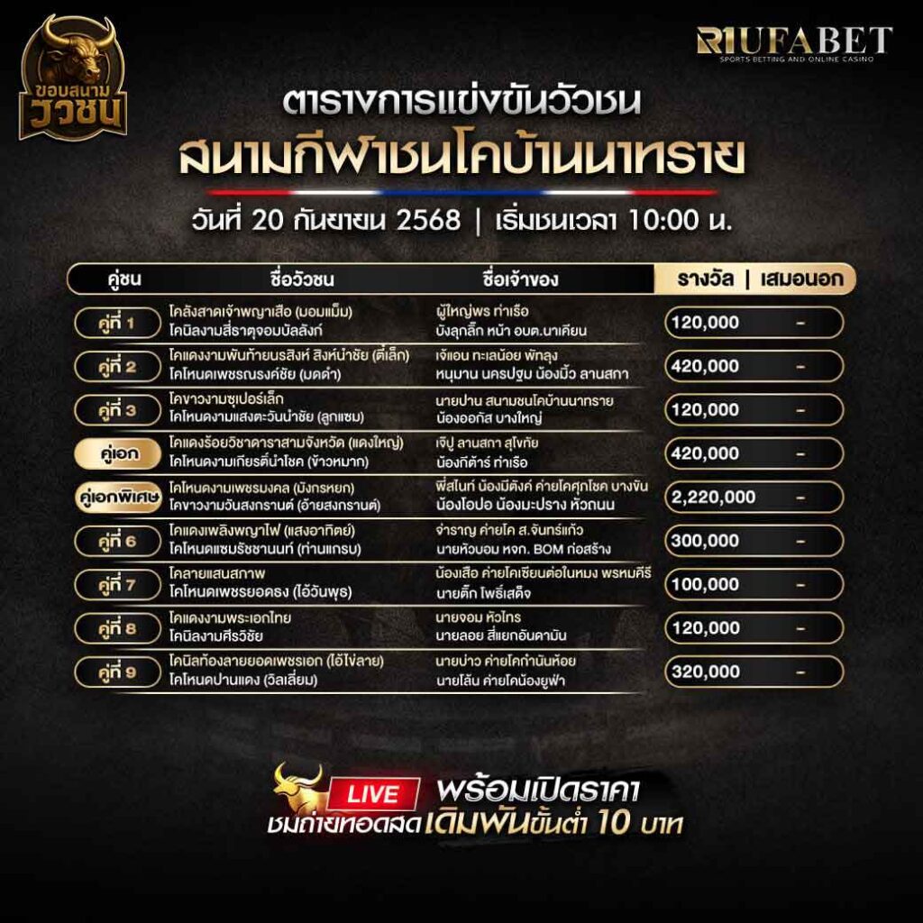 ตารางแข่งขันวัวชน-วันที่-20-09-2568-โปรแกรม-สนามชนโคบ้านนาทราย